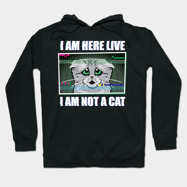 I AM HERE LIVE I AM NOT A CAT - Funny Lawyer Cat Video Call Meme Hoodie by ZowPig Shirts